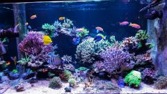 Rsz Psx 20141205 184413