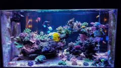 Rsz Psx 20141205 184524