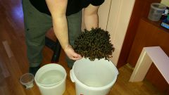 20141206 132545 resized