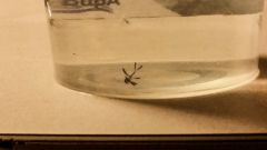 Rsz Psx 20141207 150037