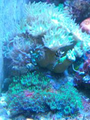 CameraZOOM 20161103183712284