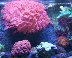 CameraZOOM 20161103183646526