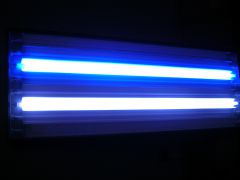 DSCN0272