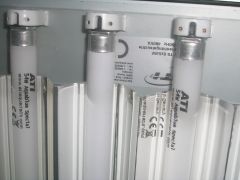 DSCN0273