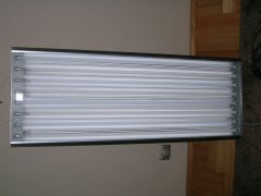DSCN0266
