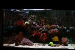 Akwarium Listopad 2013