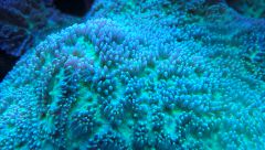 WP 20151109 11 29 56 Rich