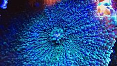 WP 20151103 13 08 20 Pro