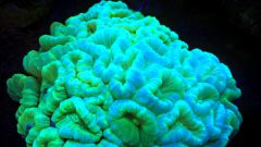 WP 20151109 11 30 23 Rich