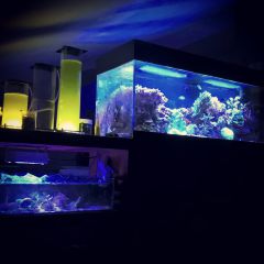 InstagramCapture d2114431 31b6 413d bda7 8cf4269b21ba