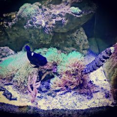 InstagramCapture 2b88aadb 0eba 4ff8 a100 61a17a2c412b