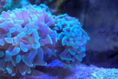 WP 20151109 11 06 07 Rich