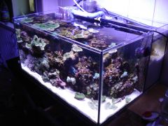 19.05.2013 z profilu