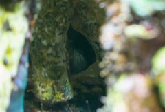DSC00709