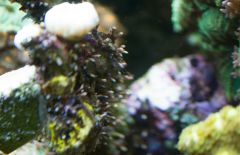 DSC00705