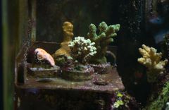 DSC00708
