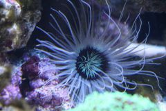 308285 287033821320904 572052919 N