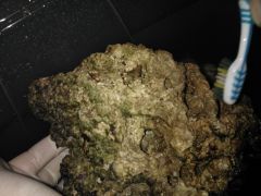 WP 000339