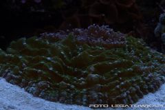 akwa 2012 09 25 p108