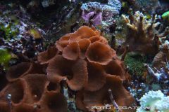 akwa 2012 09 25 p104