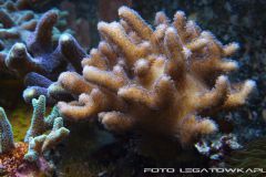 akwa 2012 09 25 p105