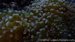 akwa 2012 09 25 p113