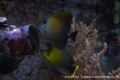 akwa 2012 09 25 p102