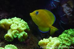 akwa 2012 09 25 p112