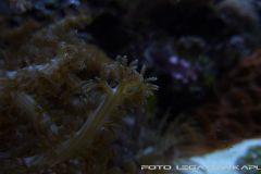 akwa 2012 09 25 p110