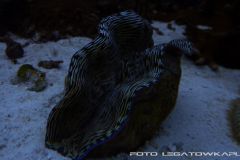 akwa 2012 09 25 p111