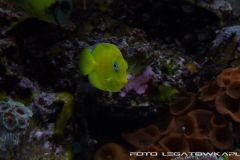 akwa 2012 09 25 p101