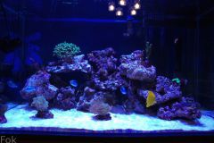 s0.zmniejszacz.pl DSC 0331 zmniejszacz Pl 936411