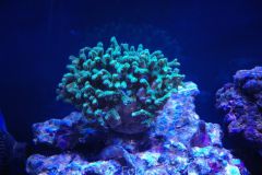 s0.zmniejszacz.pl DSC 0330 zmniejszacz Pl 813919