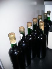 wino