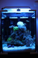 Aquael 30l   Sikor 2