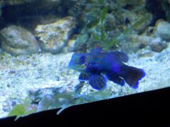 DSCN8916 (Kopiowanie)