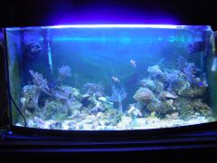 DSCN8906 (Kopiowanie)