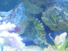 DSCN8926 (Kopiowanie)