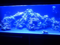 ułożenie skały Po zasoleniu