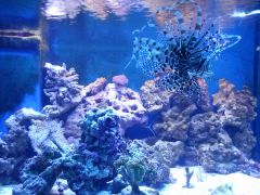 A to moje maleństwo