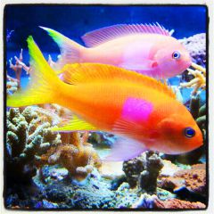 309924 562840670426844 2137779197 N