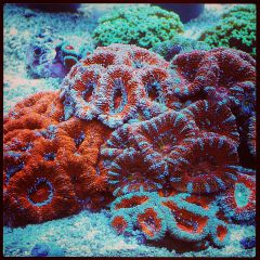 540858 533105660067012 1684422390 N