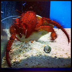 542776 533104616733783 1252387664 N (1)