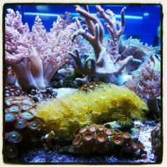 549960 535280379849540 1205109991 N