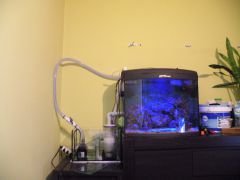 RM plus sump