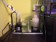 sump w całości