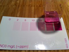 NO3 dzien 9 zdjecie 2