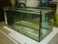 20130218176   Kopia