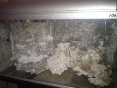 Ułożenie skaly wersja druga