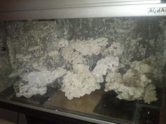 Ułożenie skaly wersja pierwsza